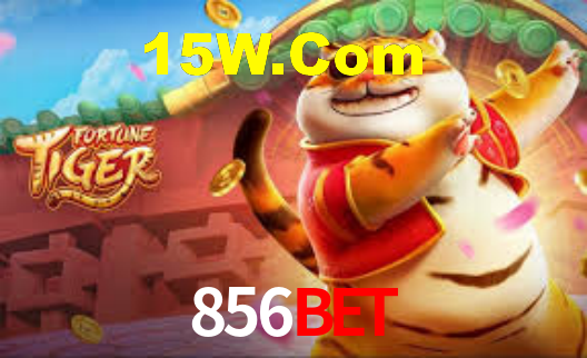 Interface Premium 856Bet