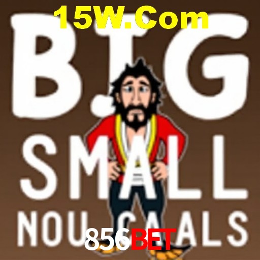 Interface do App 856Bet